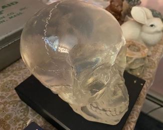 Glass cerebral cortex and the rest