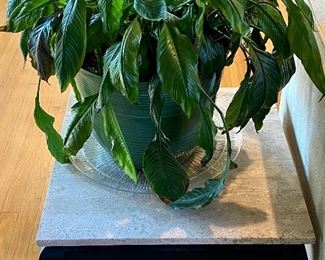 Travertine Stone Top Asian Style Side Table, shown with Potted Plant
