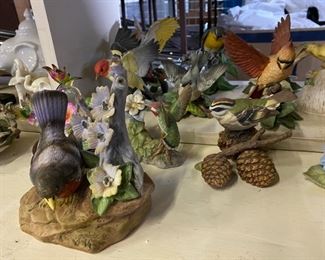 Birds, great collection $5.00 each