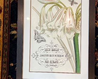 Jardin Botanique Prix: 20 Francs framed print