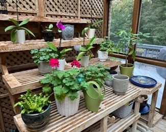 Large variety of indoor & outdoor pots and plants kept in connected greenhouse 