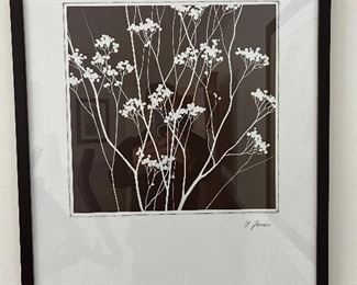 Floral framed print by H. Jonas