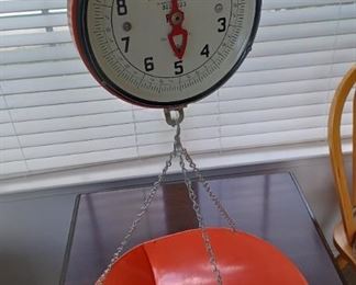 Detecto scale