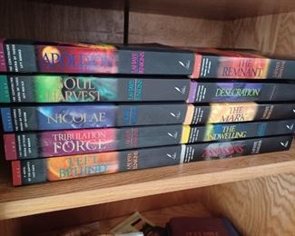Tim LaHaye Christian fiction collection