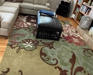 Large rug, coffee table 