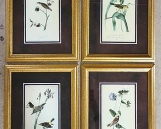 294 - Set of 4 prints drawn from nature by J.J. Audubon 17 x 13 each