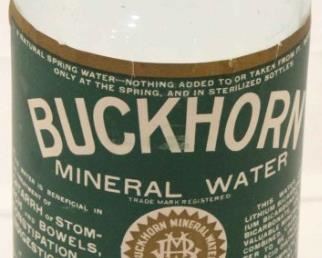 349 - Vintage Buckingham Mineral Water bottle 11"