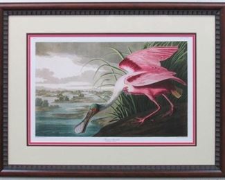 9008 - ROSETTE SPOONBILL BY JOHN J. AUDUBON 28 X 21