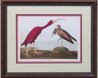 9009 - SCARLET IBIS BY JOHN J. AUDUBON 24 X 20