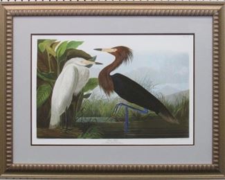 9022 - PURPLE HERON BY JOHN J. AUDUBON 33 X 25.5