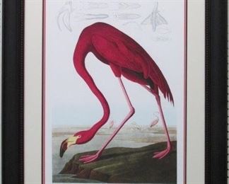 9023 - PINK FLAMINGO BY JOHN J. AUDUBON 29.5 X 38