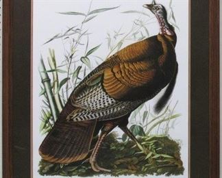 9024 - WILD TURKEY BY JOHN J. AUDUBON 29 X 24