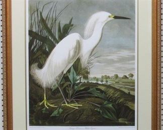 9028 - SNOWY HERON BY JOHN J. AUDUBON 29.5 X 35.5