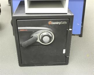 Sentry safe