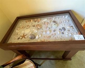 Sea Shell Collection in Display Case from Sanibel Island 