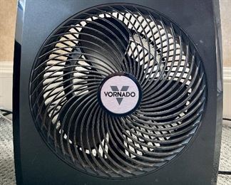 Vornado Fan (we have more than one)