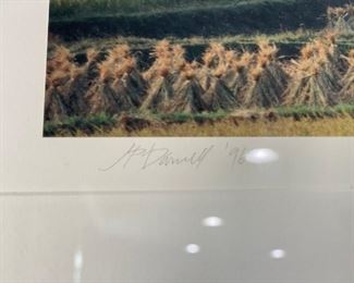 Several Original Framed Art Photos by Artist- Jim Darnell , Kansas- (1996 Wheat Fields)