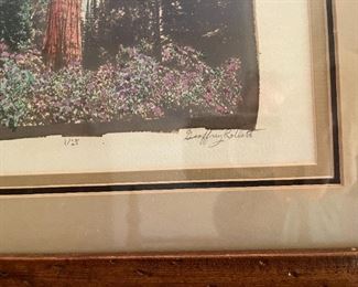 1/25 by Geoffrey Rollert "Sequoia"