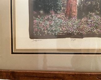 "Sequoia" by Geoffrey Rollert