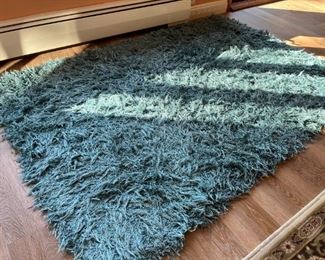 Teal Shag Area Rug