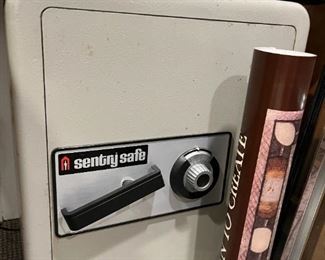 Sentry Safe