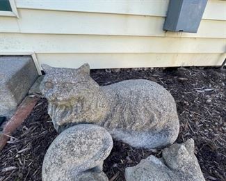 Lil baby kittens and Momma kitten...