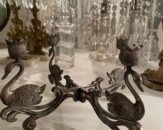 I was always the black swan of the family....