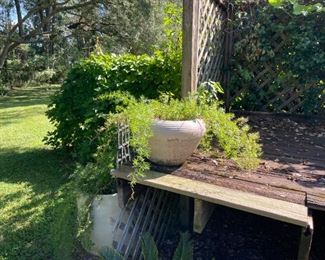 Lots of large pots at this property