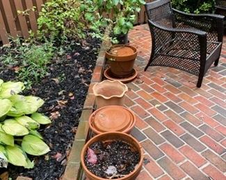 Pots and plants.