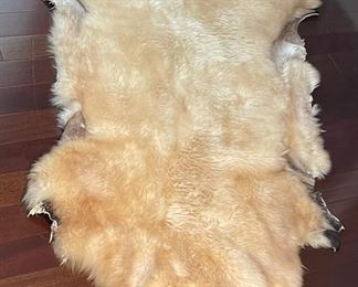 Sheep Skin Rug