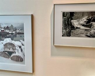 Terrell Lester Photography 