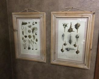 Framed botanical style artwork