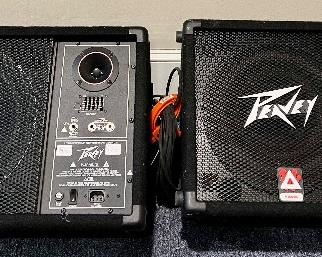 Peavey Floor Amps