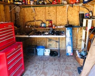 Easy to see, neat as a pin tool shed