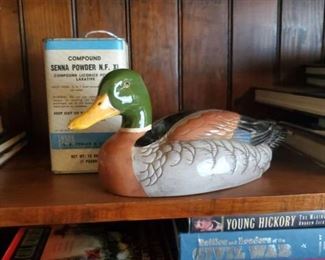Painted mallard