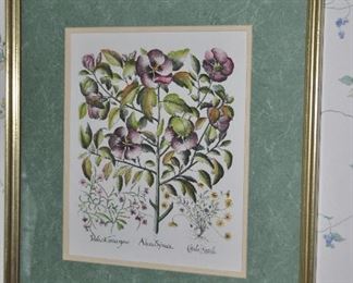 "Alcea Syriaca", Framed and Matted Botanical Print, 17"x20"