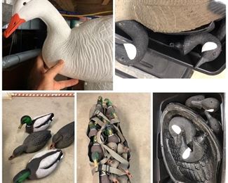 DECOYS!!!