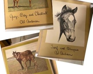 C.W.Anderson portfolios
