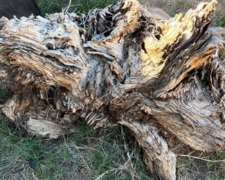 Calling all artistic folks… there is art in nature