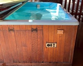 Jacuzzi, Works great!