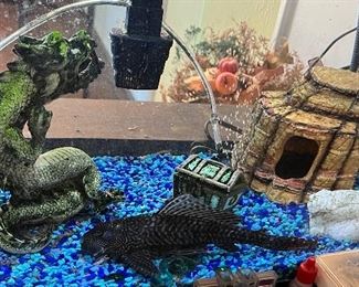 Aquarium with Assorted Fish and Bottom Feeder