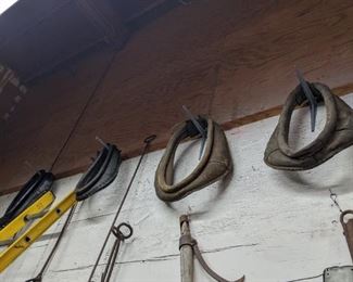 Horse Collars