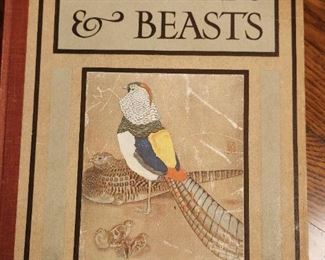 Antique Baby Birds & Beast Book