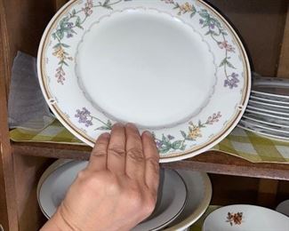 Citation Belgarden dish set