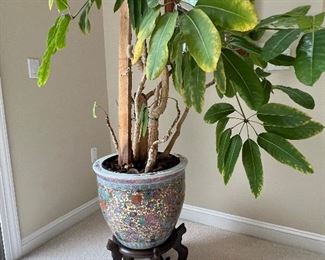 Ceramic planter with tree