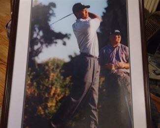 Tiger Woods 37 x 27 framed picture (NS). 250.00