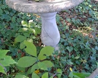 Bird bath 