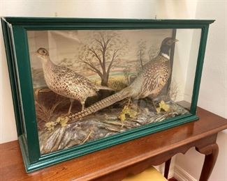 Consigned taxidermy 