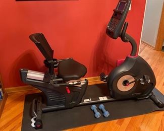 Schwann 270 exercise bike 