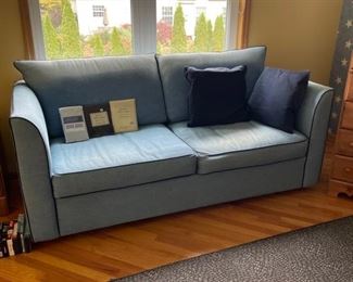 Sleeper sofa (queen size) 